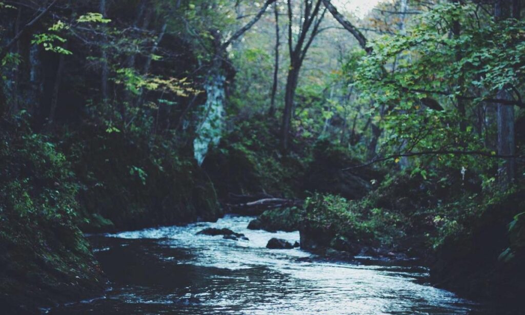 Preventive Nutrition