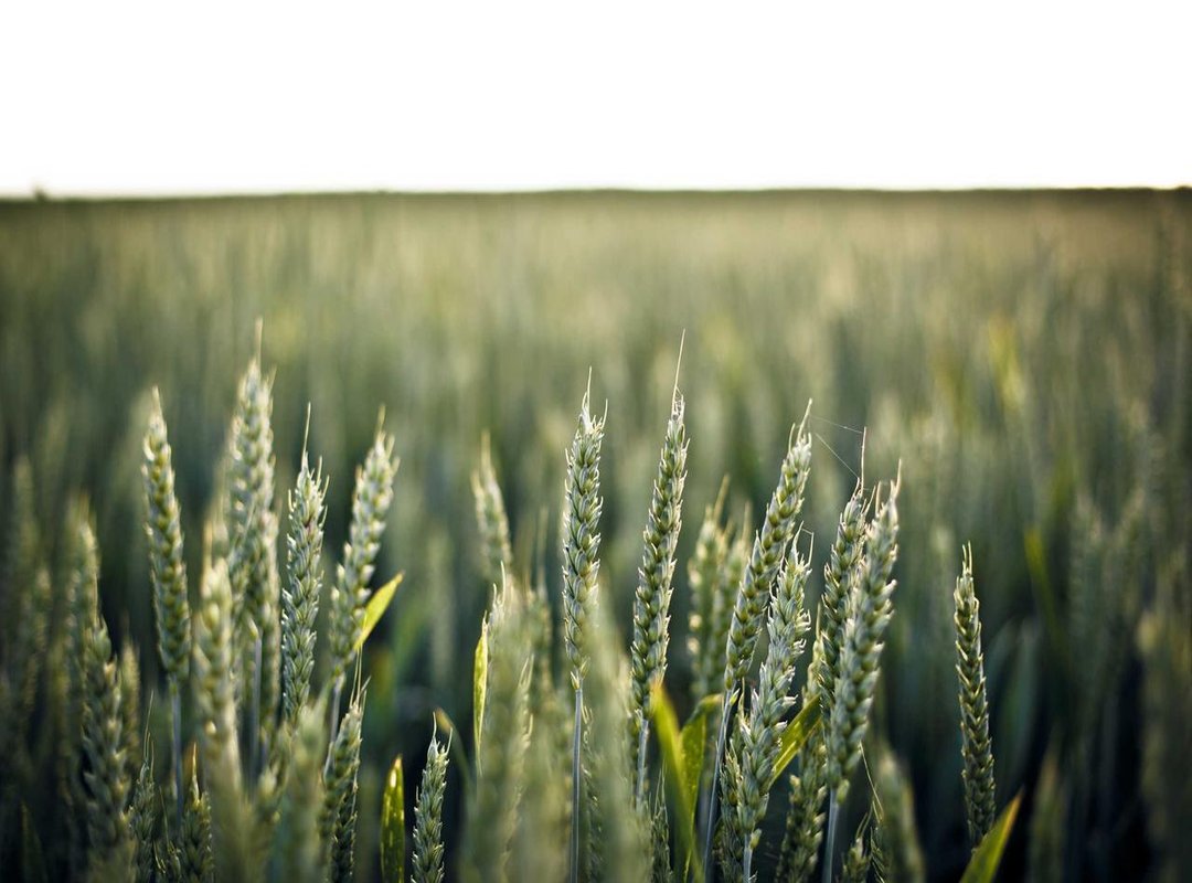 Developing a Training Plan: Key Components and Strategies