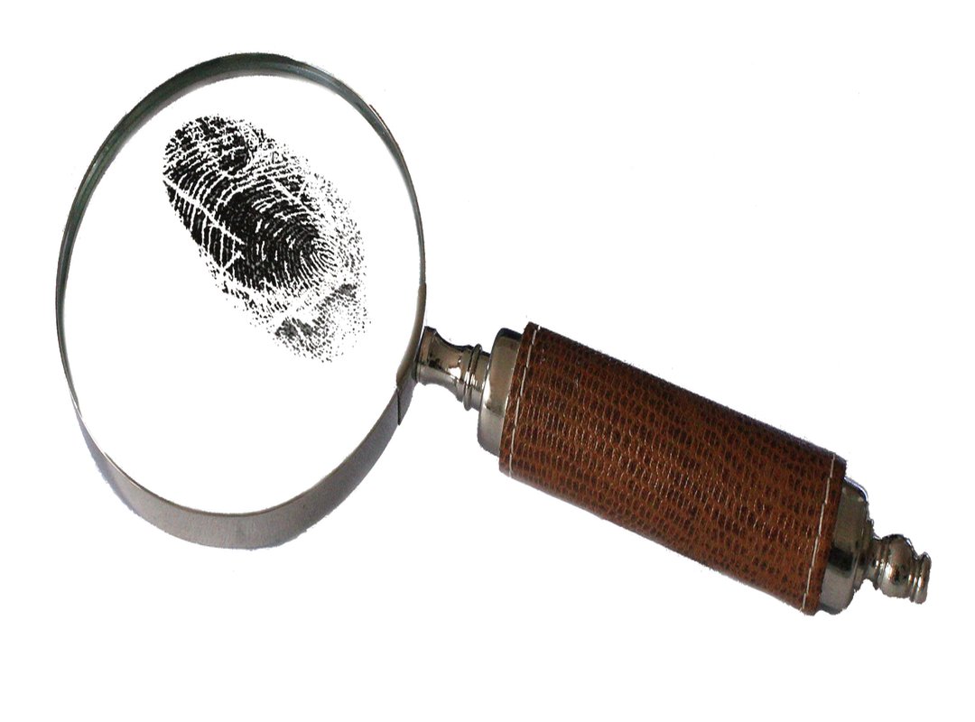 The Discovery and Investigation