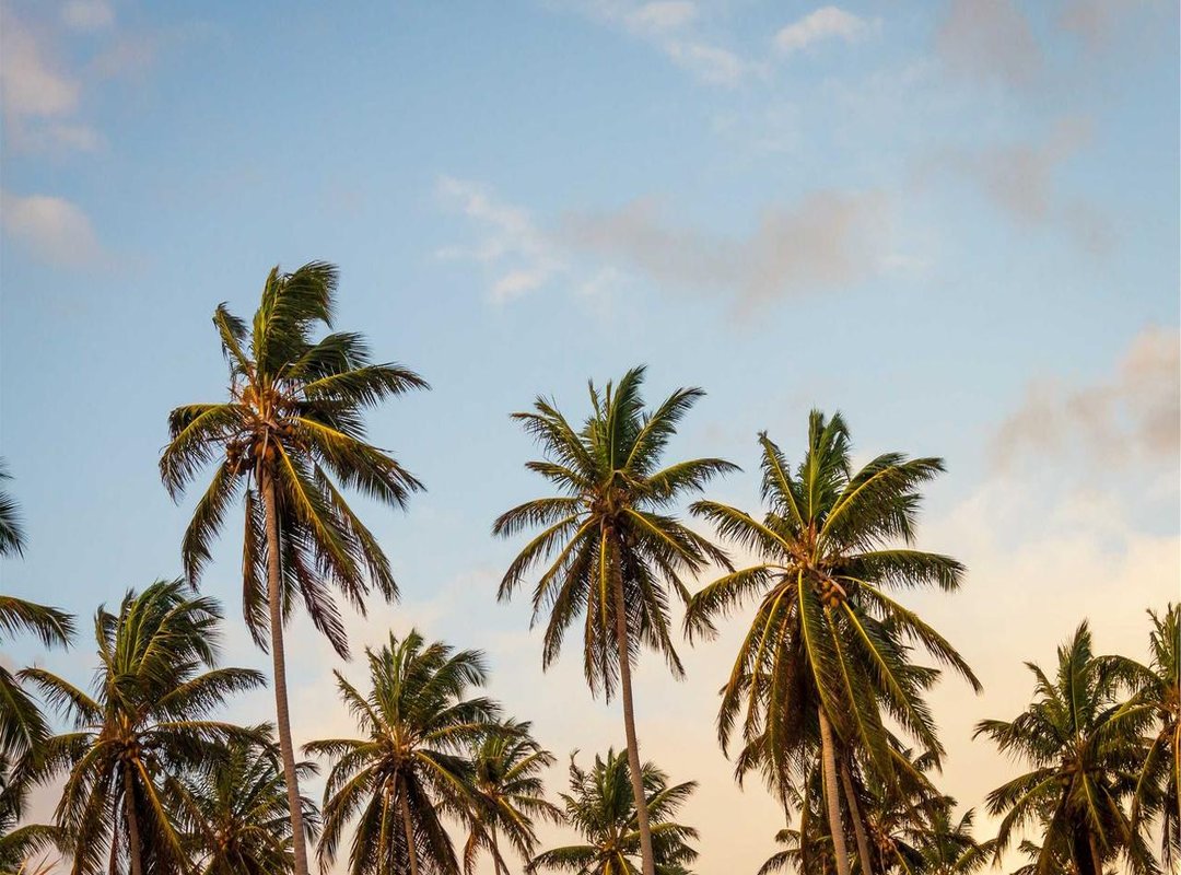 Choosing Your Style: Cinematic vs. Artistic Interpretations