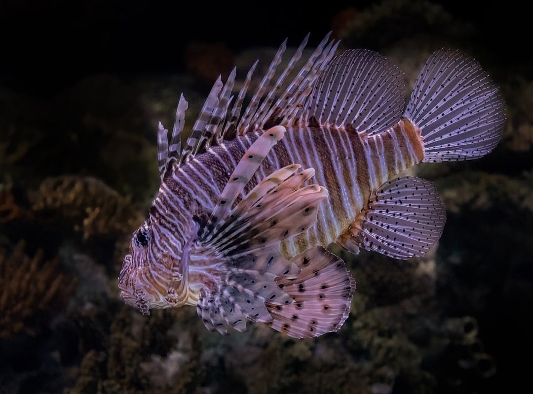 Why Invasive Searches Harm Creators and the Community