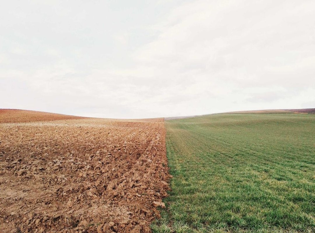 Easy Nature Doodles: Plants, Animals, and Landscapes