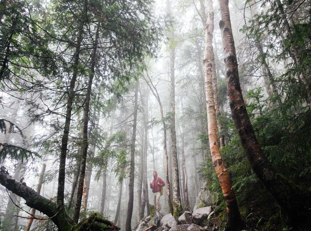 How to Stay Safe Online: Tips and Best Practices