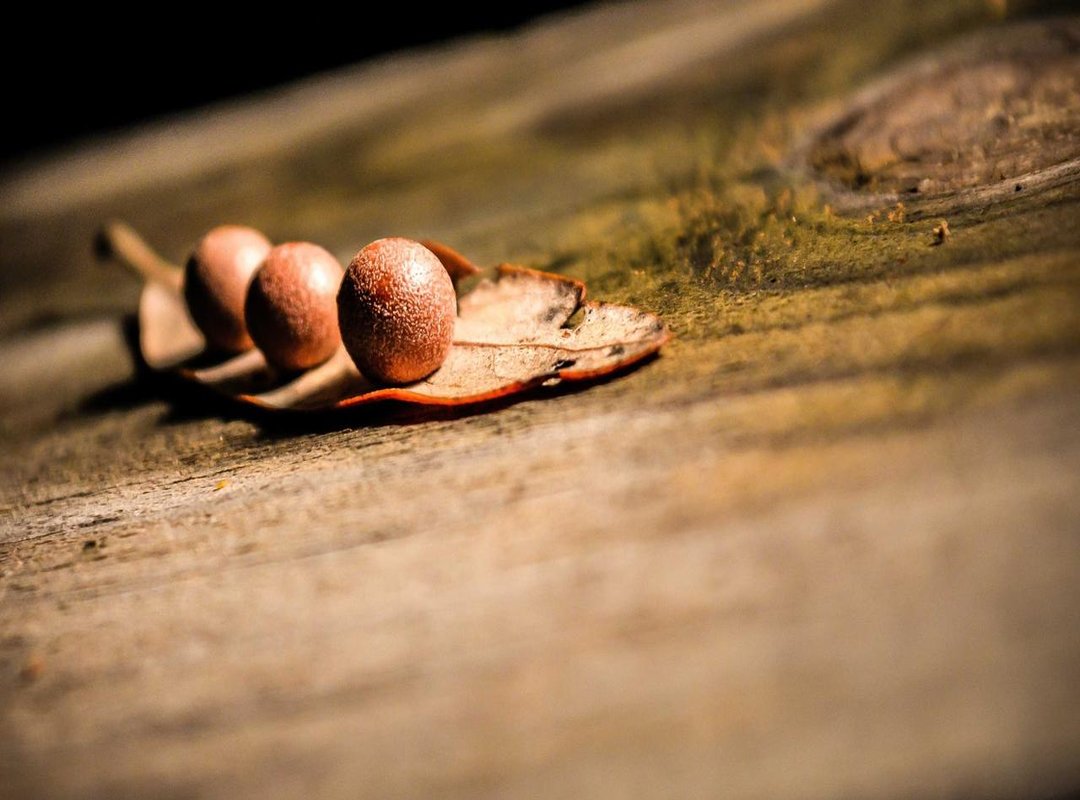 Practical Application: How to Use Psalm 23 in Daily Life