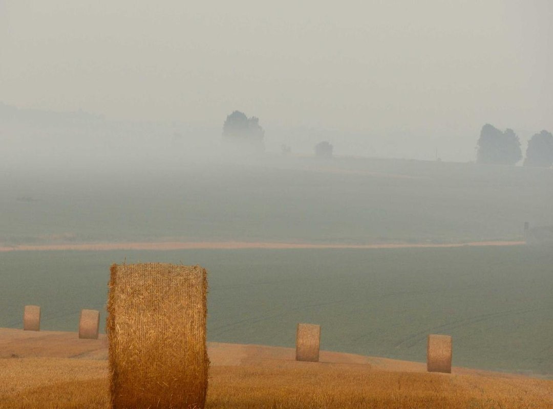 The Unsung Hero of Stamina: Recovery and Sleep