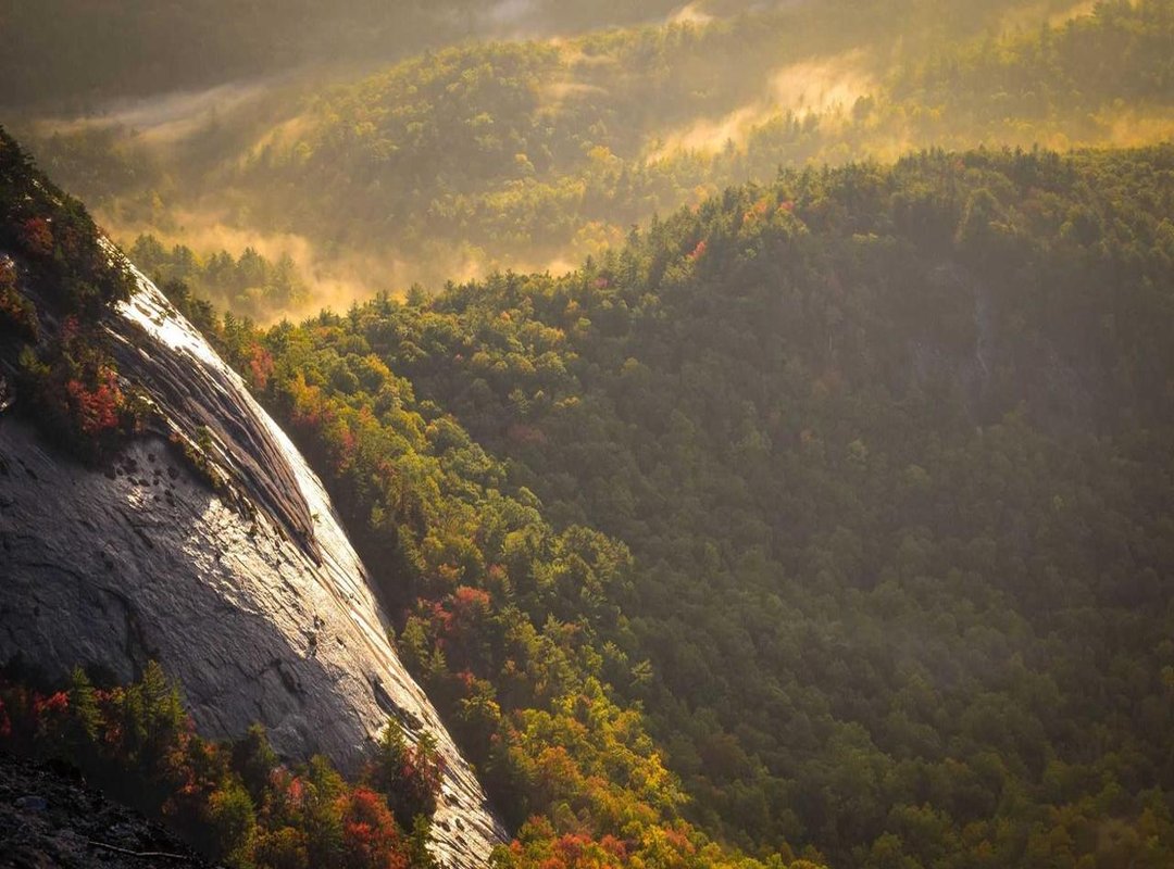 Decoding the Data: Key Metrics for Analyzing Malaysian Channels