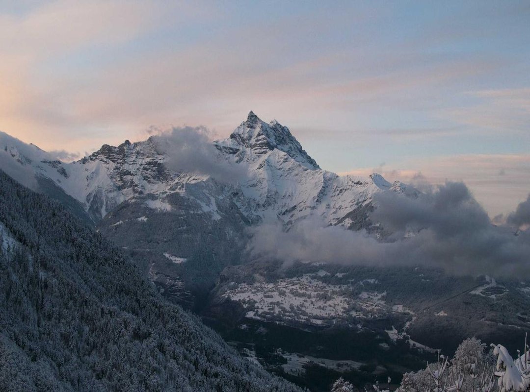 Putting It in Perspective: Tren Twins' Stats vs. Other Fitness Icons