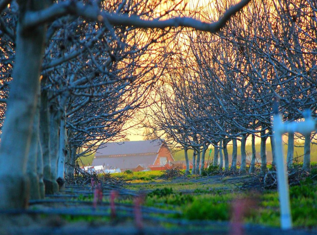 Fueling Performance: The Nutritional Strategy of Top Athletes